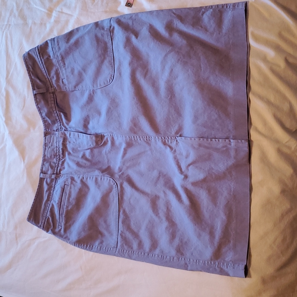 Lane Briant skirt